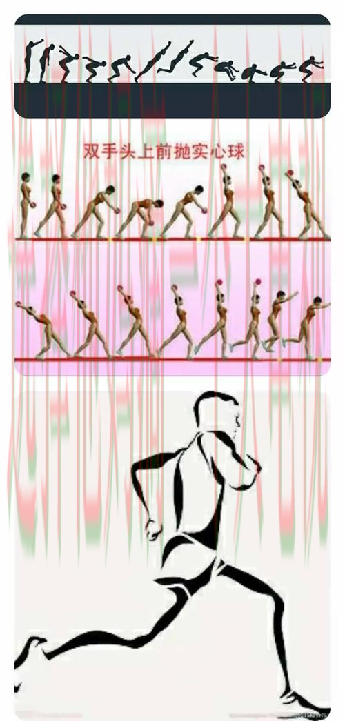 博雅体育登录指南与入口详解 博雅体育登录指南与入口详解